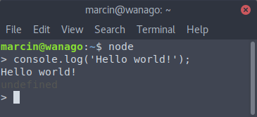 Node.js TypeScript terminal
