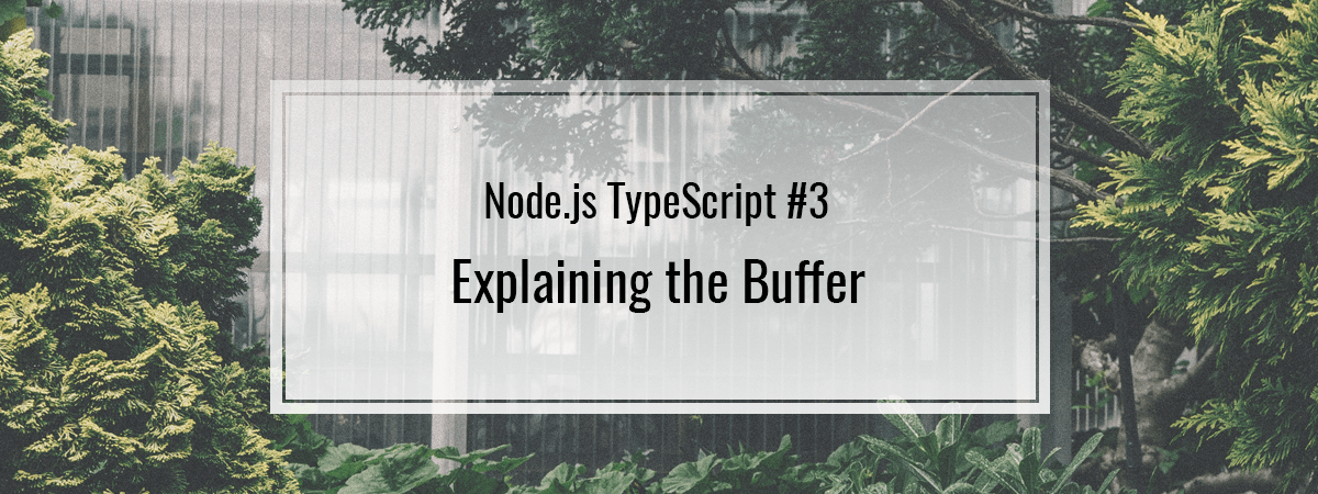 Node.js TypeScript #3. Explaining the Buffer
