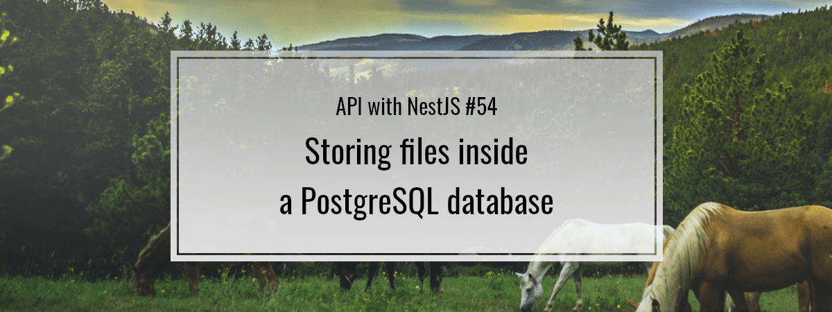 API with NestJS #54. Storing files inside a PostgreSQL database