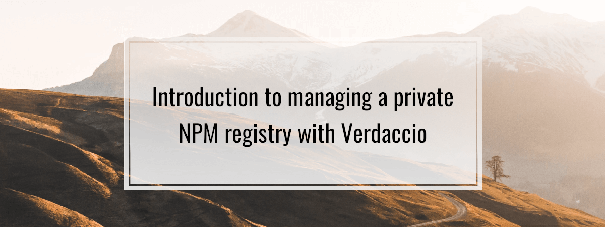 Introduction to managing a private NPM registry with Verdaccio