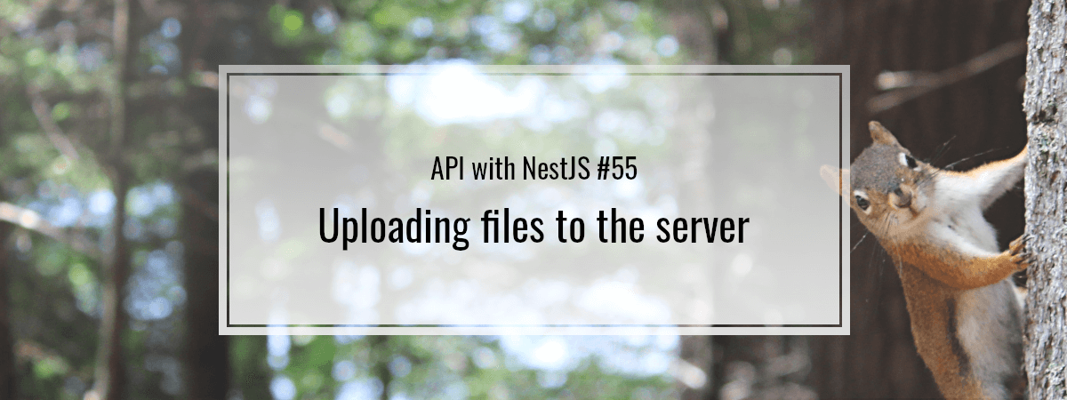 API with NestJS #55. Uploading files to the server